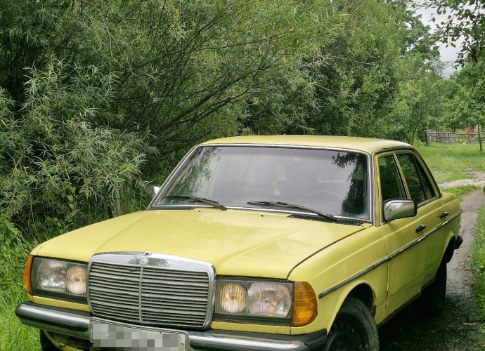 Mercedes-Benz W123, 