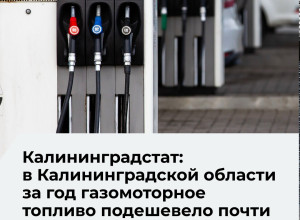 В Калининградской области зафиксировали снижение цен на газомоторное топливо в первом квартале 2026 года