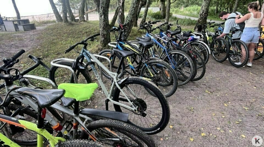 Веломаршрут вдоль побережья Калининградской области: проблемы с содержанием и инфраструктурой