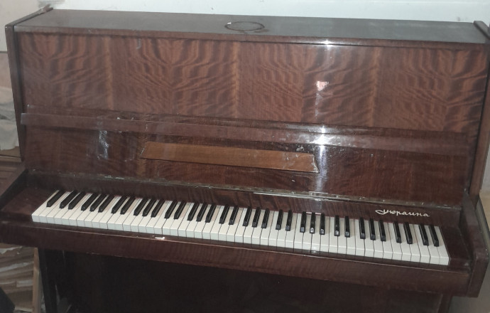 Отдам бесплатно, самовывоз