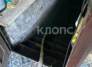 В Зеленоградске подвал дома на Железнодорожной затопило после ливня, жители остались без воды