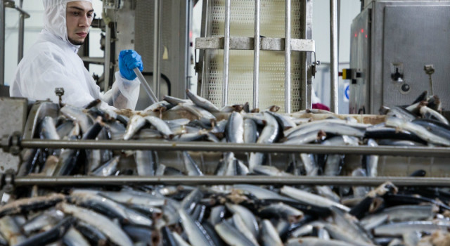 Калининградское предприятие поставило в Грузию три партии рыбы и морепродуктов