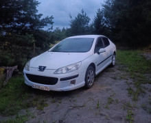Peugeot 407, 2006