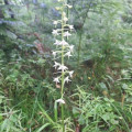 problem
