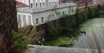 Башня «Врангель» в Калининграде впервые за десятилетие откроется для посетителей