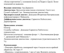 Четверо щенков из Калининграда ищут новых хозяев