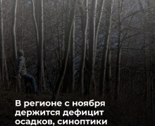 В Калининградской области в ближайшие десять дней дождей не предвидится