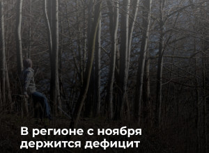 В Калининградской области в ближайшие десять дней дождей не предвидится