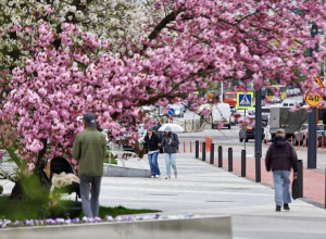 В Калининградской области в выходные ожидается до +26 °С