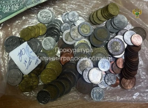Житель Калининграда осужден на 5 лет за кражу коллекционных монет на 25 млн рублей