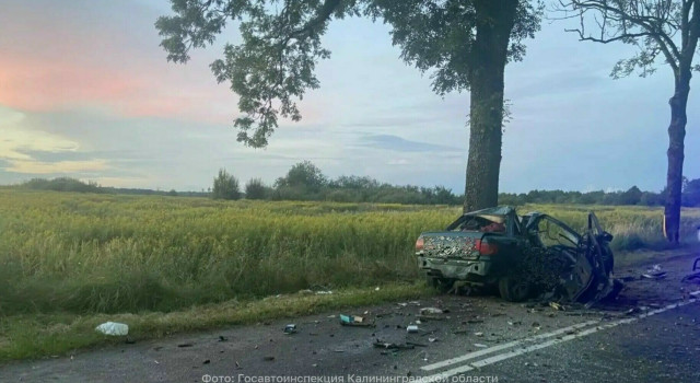 Смертельное ДТП в Черняховском районе: 22-летний водитель погиб после столкновения с деревом