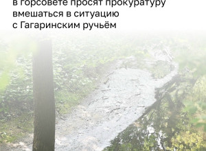 Депутаты обратились в прокуратуру из-за запаха от Гагаринского ручья в Калининграде