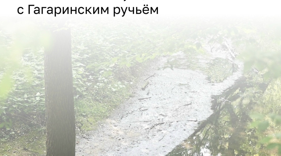 Депутаты обратились в прокуратуру из-за запаха от Гагаринского ручья в Калининграде