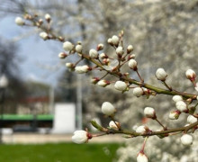 В Калининградской области прогнозируют прохладную погоду в конце апреля