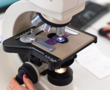 Учёные БФУ имени Канта анализируют эффективность антибиотиков в больницах Калининградской области