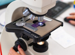 Учёные БФУ имени Канта анализируют эффективность антибиотиков в больницах Калининградской области