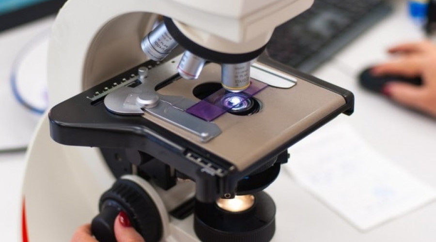 Учёные БФУ имени Канта анализируют эффективность антибиотиков в больницах Калининградской области