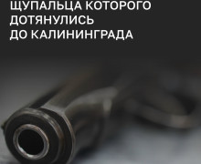 ФСБ и МВД ликвидировали 37 подпольных оружейных мастерских в 43 регионах, включая Калининградскую область