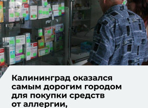 Калининград вошёл в пятёрку городов РФ с самой дорогой аптечной корзиной