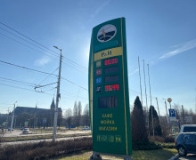 Цены на АЗС Калининграда почти не шелохнулись: мониторинг 22 марта