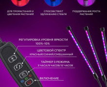 Фитолампа для растений
