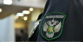 В Калининграде на предприятии «Калининградмолпродукт» выявили нарушения при производстве творожных сырков