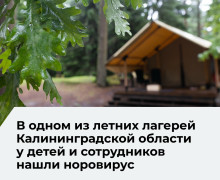 В лагере «Алые паруса» у детей и сотрудников выявили норовирус