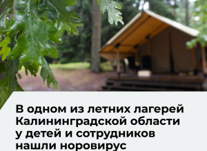 В лагере «Алые паруса» у детей и сотрудников выявили норовирус