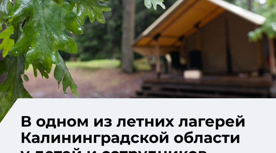 В лагере «Алые паруса» у детей и сотрудников выявили норовирус