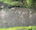 Житель Калининграда сообщил о загрязнении Ялтинского пруда и обратился к властям