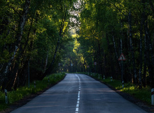 Калининградская область: дорога, обрамлённая красотой