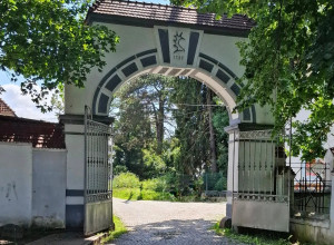 Ясная Поляна: история тракененского конезавода