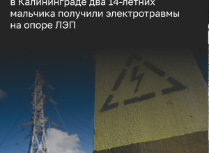 В Калининграде подростки пострадали от удара током на опоре ЛЭП