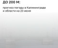МЧС предупредило о густом тумане в Калининградской области в ночь на 23 июня