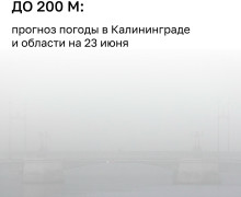МЧС предупредило о густом тумане в Калининградской области в ночь на 23 июня
