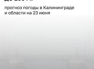 МЧС предупредило о густом тумане в Калининградской области в ночь на 23 июня