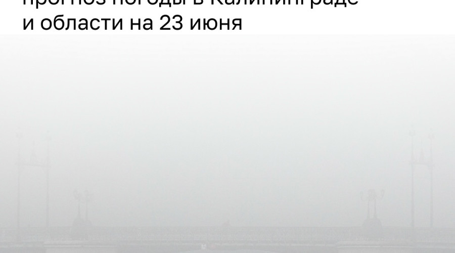 МЧС предупредило о густом тумане в Калининградской области в ночь на 23 июня