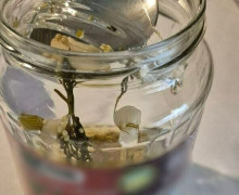 Калининградец обнаружил осколок стекла в банке маринованных помидоров белорусского производства