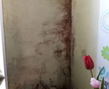В Советске 9-летняя девочка и её бабушка живут в доме с обрушающимися потолками