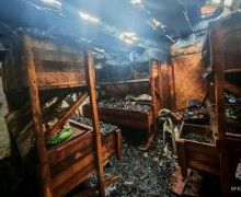 Сотрудники МЧС спасли свыше ста кроликов при пожаре в Светловском округе