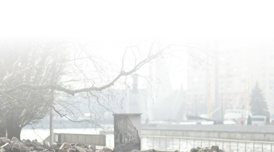 В Калининграде заменят каменное покрытие на асфальтобетон на пешеходных переходах