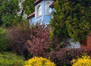 В Калининград прилетаешь однажды — и хочешь вернуться