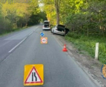 В Зеленоградском районе Lexus столкнулся с деревом: пострадали водитель и пассажир