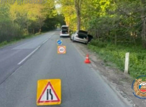 В Зеленоградском районе Lexus столкнулся с деревом: пострадали водитель и пассажир