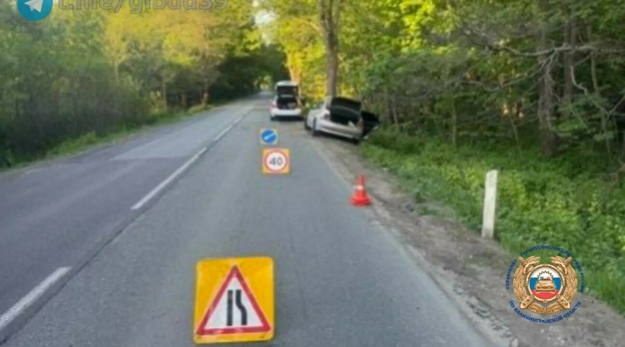 В Зеленоградском районе Lexus столкнулся с деревом: пострадали водитель и пассажир