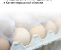 Калининградстат зафиксировал снижение цен производителей сельхозпродукции в июне