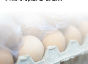 Калининградстат зафиксировал снижение цен производителей сельхозпродукции в июне