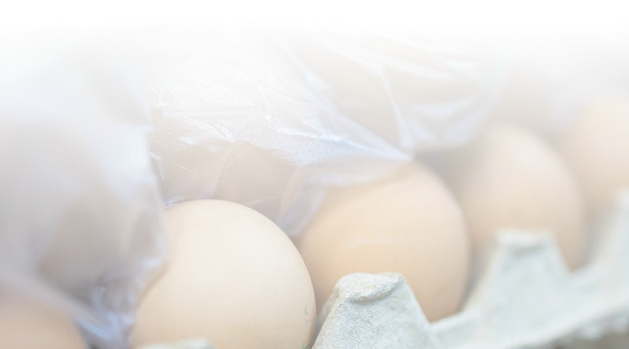 Калининградстат зафиксировал снижение цен производителей сельхозпродукции в июне