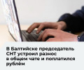 Главу СНТ в Калининградской области оштрафовали за оскорбление дачника в чате