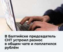 Главу СНТ в Калининградской области оштрафовали за оскорбление дачника в чате
